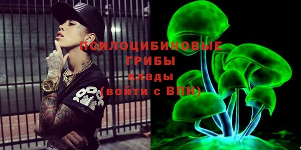 винт Армянск